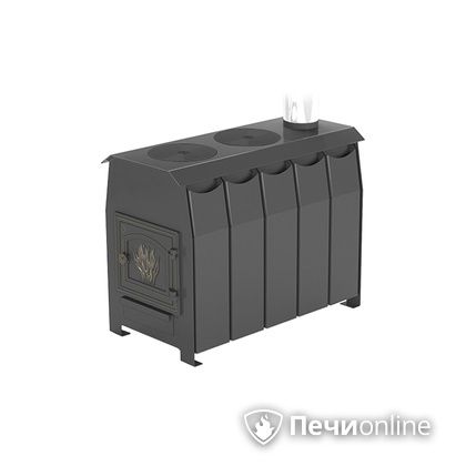 Отопительно-варочная печь Везувий Комфорт 300 (ДТ-3) в Добрянке