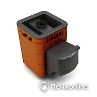 Дровяная банная печь TMF Оса Carbon терракота дверь антрацит в Добрянке