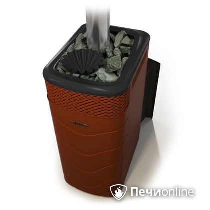 Дровяная банная печь TMF Гейзер XXL 2017 Inox Витра закрытая каменка терракота в Добрянке